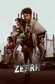 Zebra (2024) Hindi Dubbed [UNCUT]