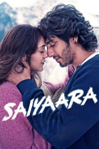 Saiyaara (2025) Hindi HDTS V2